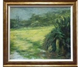 Artist-Mike-Knowles View Through the Gate Rain